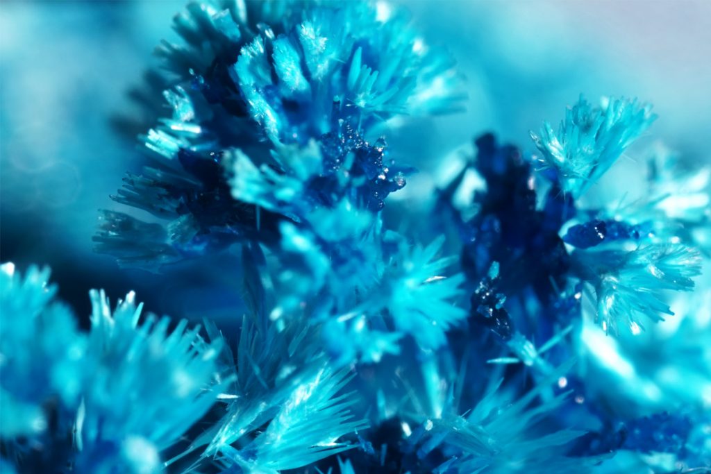 Garden of Time Roch-Cuerrier