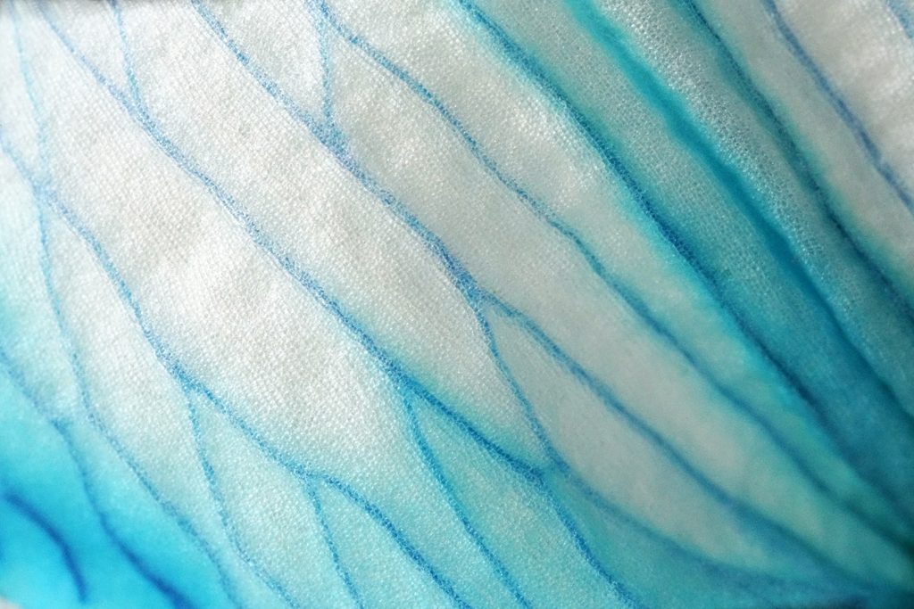 Time Flower Roch-Cuerrier