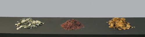 Le blogue de Danielle Boutet